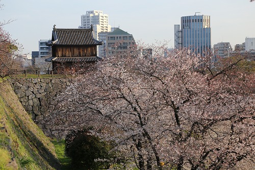 福岡城7