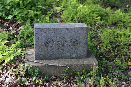 福岡城24