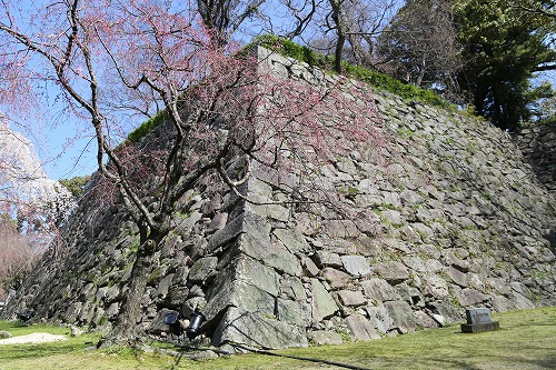 福岡城13