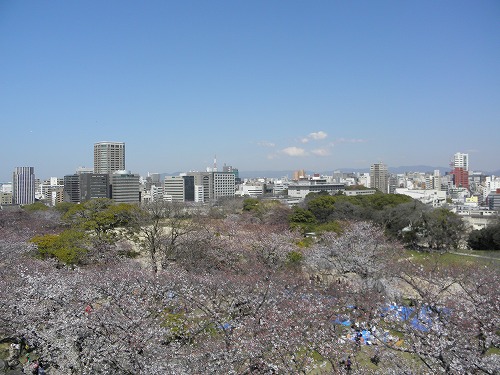 福岡城28