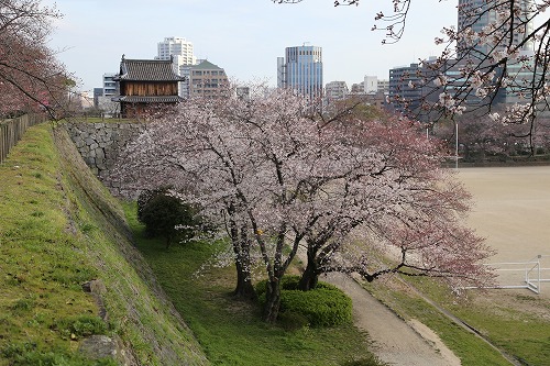 福岡城3