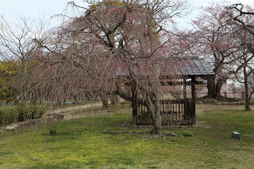 福岡城4