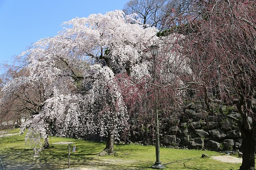 福岡城5