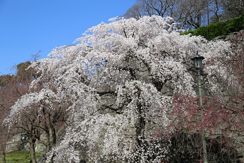 福岡城11