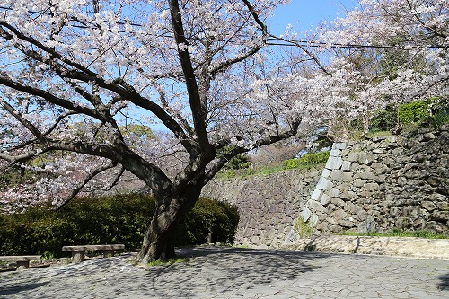 福岡城6