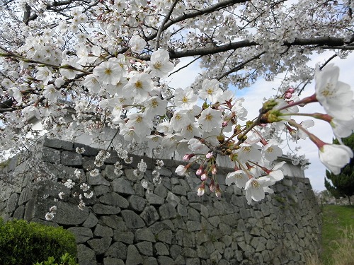 福岡城7