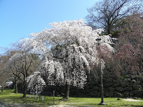 福岡城8