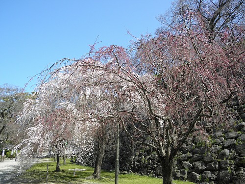 福岡城9