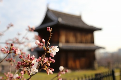 福岡城6
