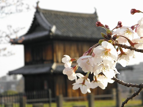 福岡城18