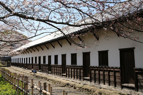 福岡城14