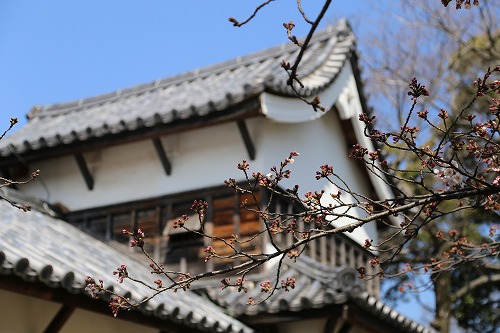 福岡城9