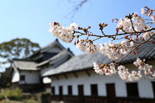 福岡城3