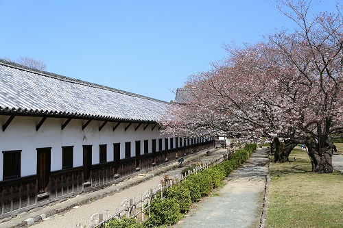 福岡城10