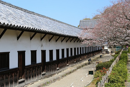 福岡城11