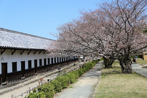 福岡城12