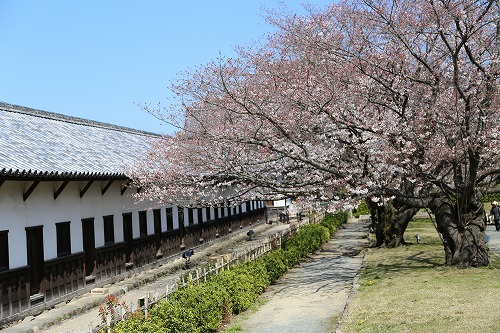 福岡城13