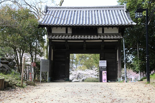 福岡城1