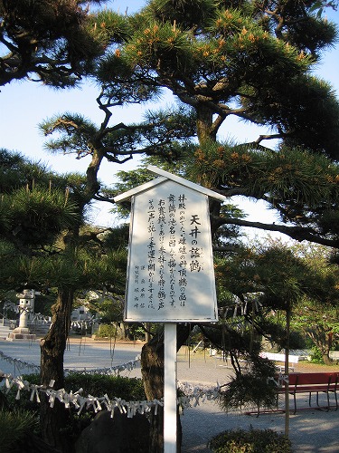 光雲神社6