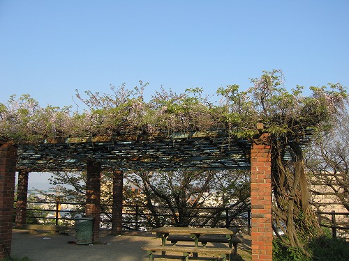 西公園6