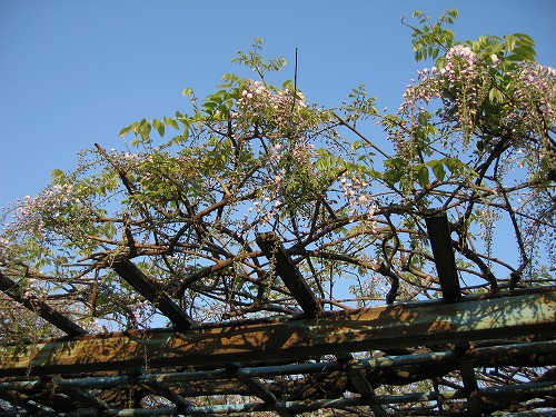 西公園7