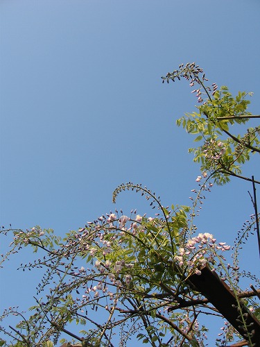 西公園11