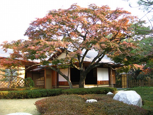 松風園7