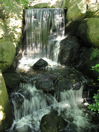 松風園12
