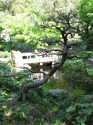 松風園13