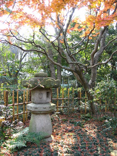 松風園28