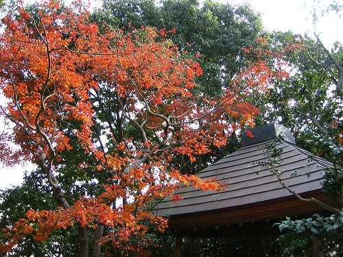 松風園25