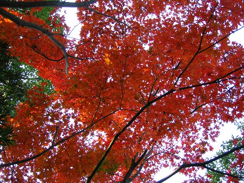 松風園17