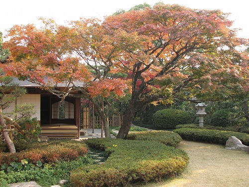 松風園18