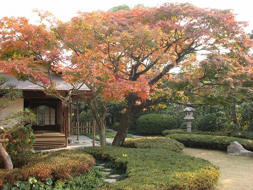 松風園20