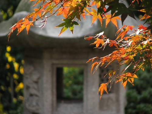 松風園34