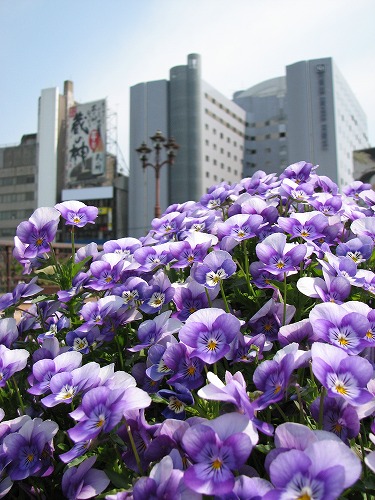 福博であい橋4