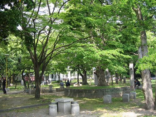 天神中央公園5