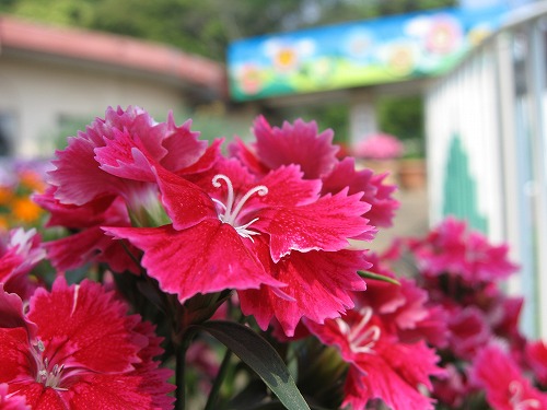 福岡動物園4
