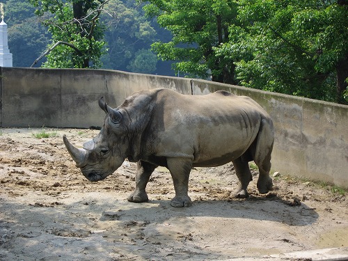 福岡動物園24