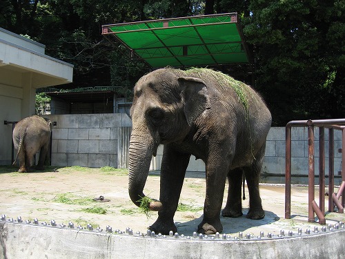 福岡動物園17