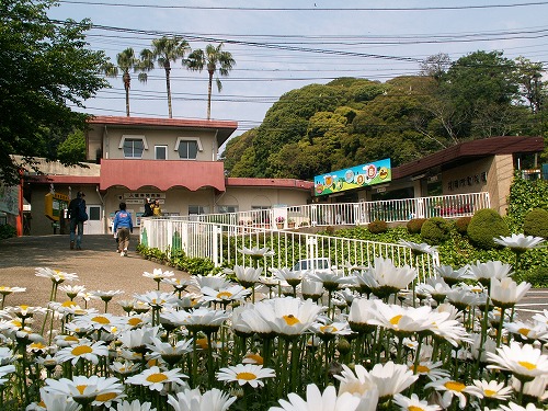 福岡動物園9
