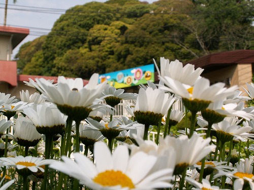 福岡動物園8
