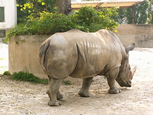 福岡動物園21