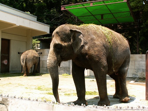 福岡動物園23