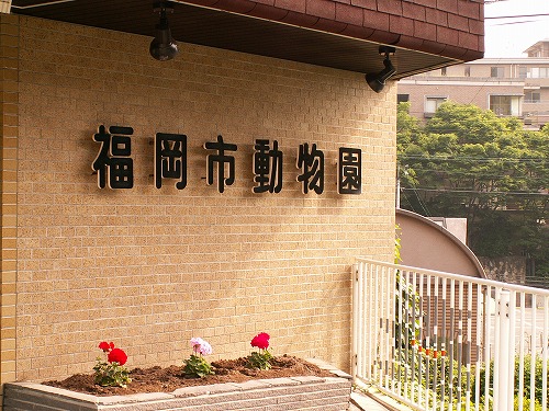 福岡動物園10