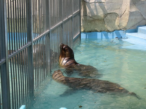 福岡市動物園4