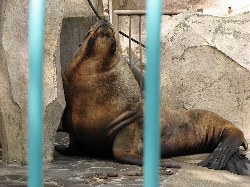福岡市動物園1