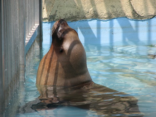 福岡市動物園7