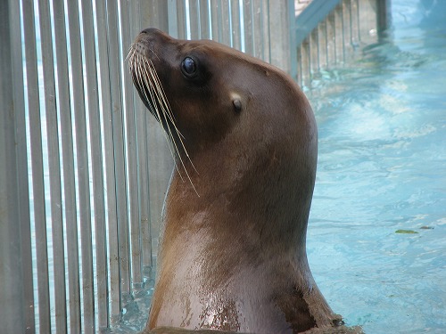 福岡市動物園9