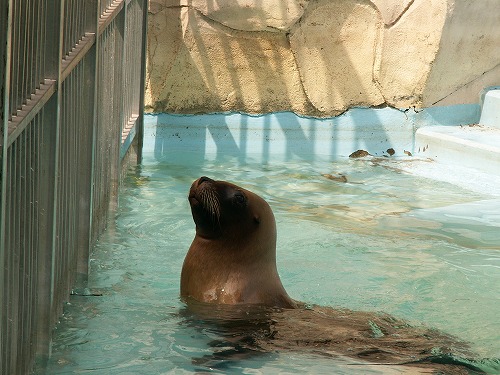 福岡市動物園6